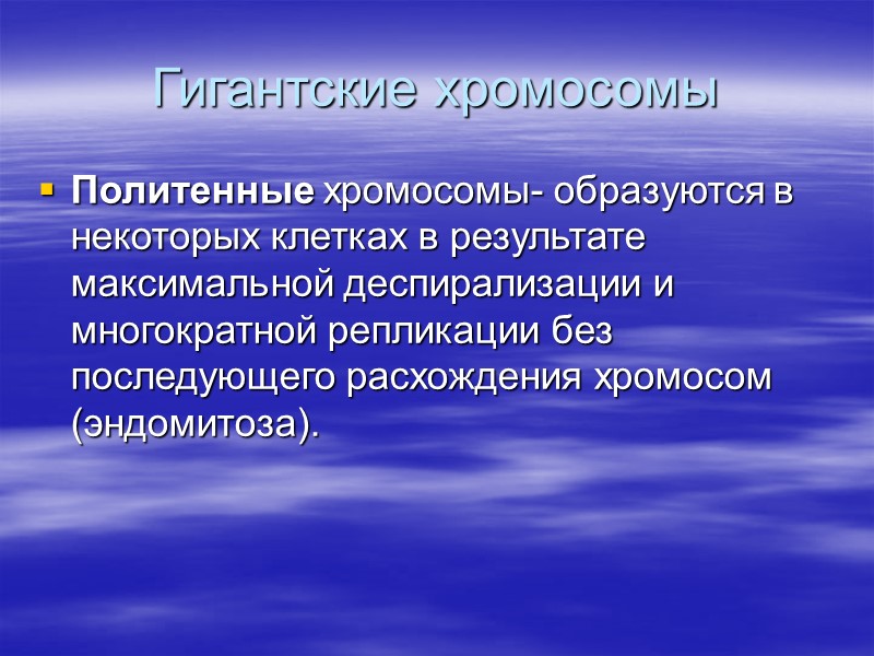 Гигантские хромосомы Политенные хромосомы- образуются в некоторых клетках в результате максимальной деспирализации и многократной